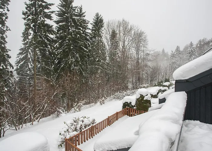 Brink Am Waltenberg 70 Apartment Winterberg